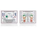 Laminated Foot Reflexology Chart 8.5" X 11"