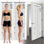 Postural Analysis Grid Chart-Space Saver 2' X 6'
