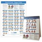 Kent Trigger Point Charts - Head &amp; Neck