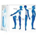 Free Dermatome Poster With Box Of Cleanwheel