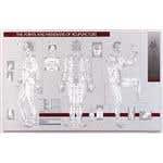 Points &amp; Meridians Of Acupuncture Chart 23" X 36"