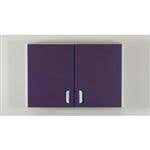 Wall Cabinet W/ 2 Doors
