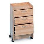 Hausmann Mobile Smart Cart