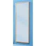 Wall Mount Posture Mirror