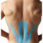 SpiderTech Lower Back Precut