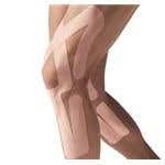 Spidertech Gentle, Full Knee