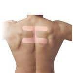 Spidertech Gentle, Postural