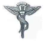 Aluminum Chiropractic Emblem, 25" X 26.5"