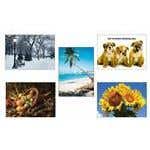 Laser Reminder Cards, 100/Package