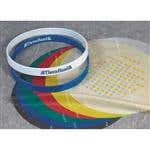 Thera-Band Progressive Hand Trainer