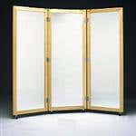 3-Way Posture Mirror W/ Casters