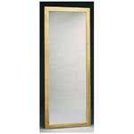 Posture Mirror