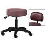 5 Leg Pneumatic Stool With Backrest