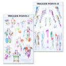 Trigger Point Charts Set(I &amp; Ii) Laminated