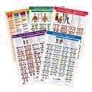 Kent Trigger Point Charts - Set Of 5