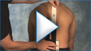 Lower Back Spider Training