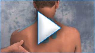 Neck Spider Training