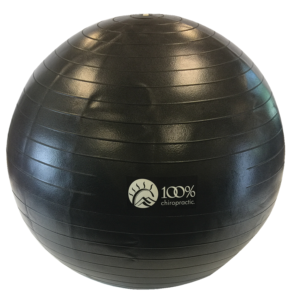 100% Chiropractic 65cm Exercise Ball Black