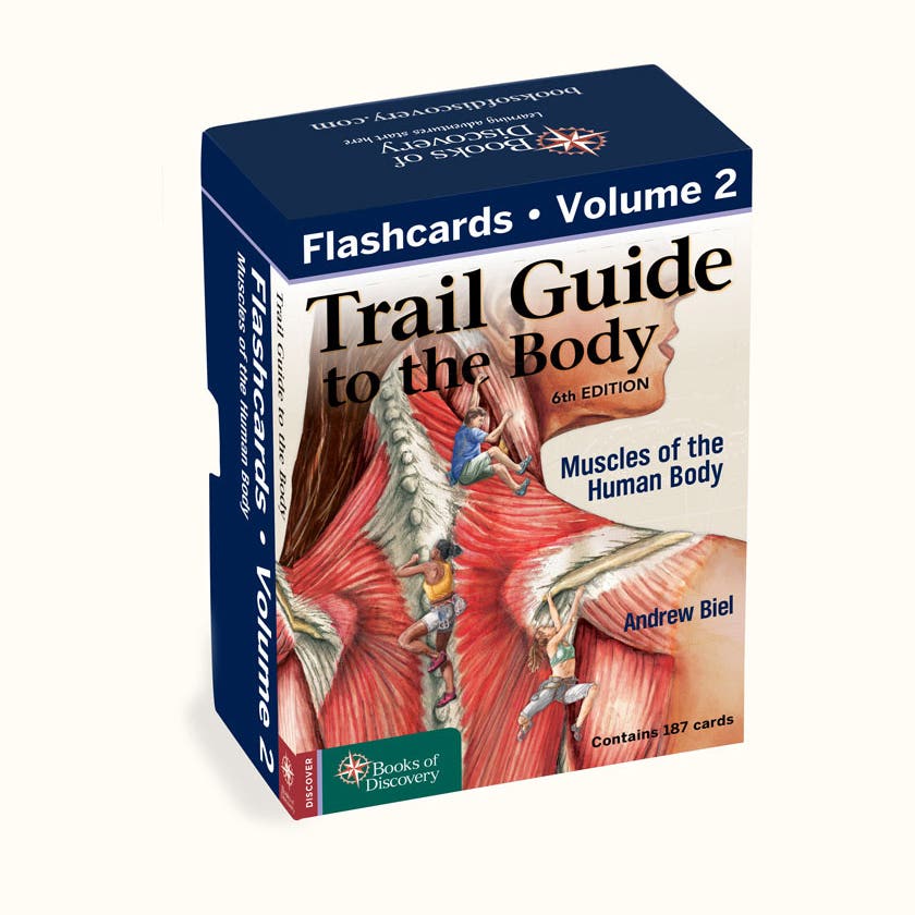 Trail Guide To The Body Flashcards Muscular System 6th Ed Vol 2