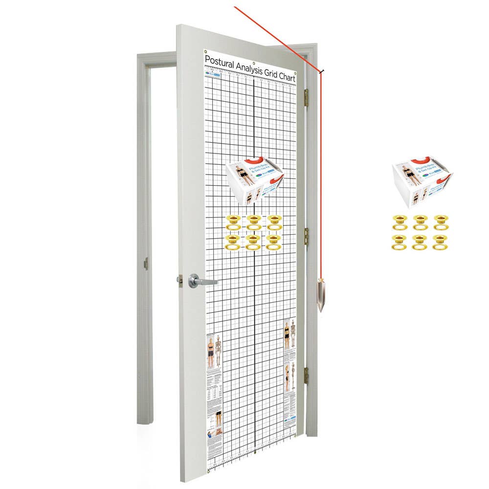 KentHealthPostureAnalysisGridChart–SpaceSaverwithGrommetsandPlumbBobKit