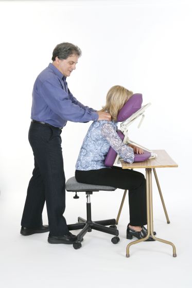 Pisces Productions Dolphinette Desk Topper™