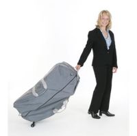 Pisces Productions Dolphin II Massage Chairs Carrying Case