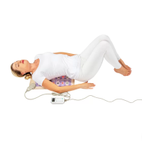HealthyLine TAJ-Mat™ Small 2020 Firm - Photon PEMF InfraMat Pro®