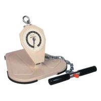 Baseline back, leg, chest dynamometer, large base, adult, 660 lb