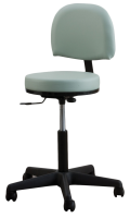 Oakworks® Premium Backrest Stool Low Height