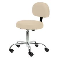 Earthlite Rolling Stool With Back