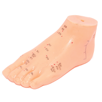  Foot Model - Acupunture Point Mode