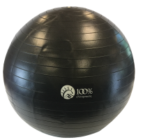 100% Chiropractic 65cm Exercise Ball Black