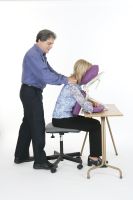 Pisces Productions Dolphinette Desk Topperâ„¢