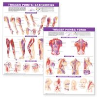 Laminated Trigger Points, Torso And Extremities