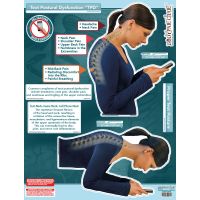 BodyPartChart™ Text Postural Dysfunction (TPD) 39” x 51”