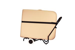 NRG Sporty Cart With Telescoping Handle And Strap
