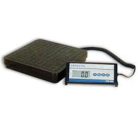 Visiting Nurse Scale