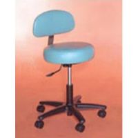 Deluxe Stool With Back 18-23H