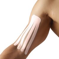 SpiderTech™Gentle Small Fan spider precut 10pk 