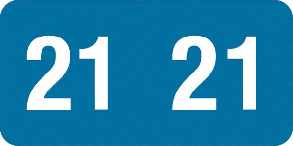 Smead 2021 Match YearBand End Tabs, Light Blue/White - 500/pkg