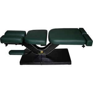 Eurotech Trademark Stationary Chiropractic Table