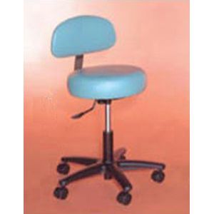 Deluxe Stool With Back 18-23H