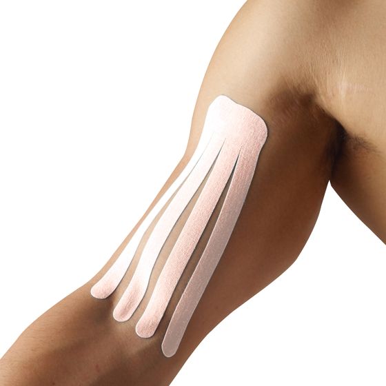 SpiderTech™  Gentle Small Fan spider precut 10pk 