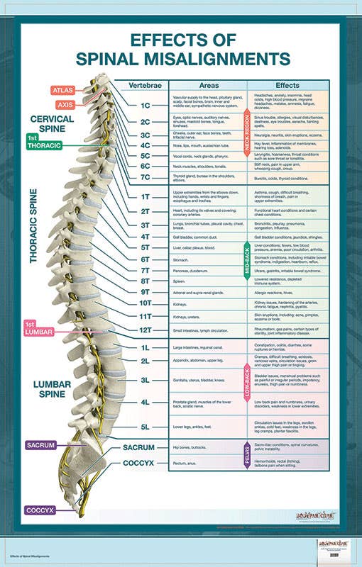 BodyPartChart™EffectsOfSpinalMisalignments