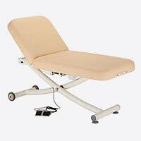 EarthLite Ellora Vista Electric Tilt Table