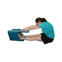 Baseline Body Flexibility Testing, Standard