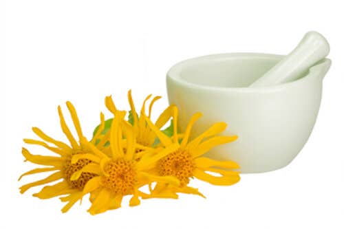 Healing Properties of Arnica in BIOTONE BIOTONE and Arnica Extract
